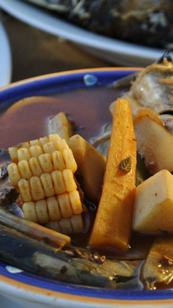 Caldo Michi un platillo imperdible de Yuriria Guanajuato