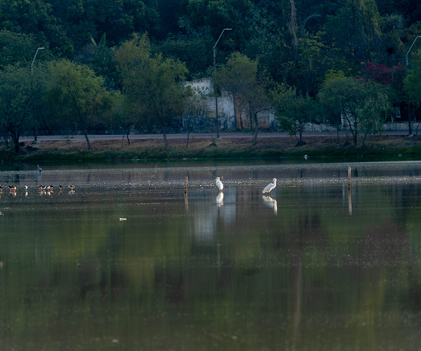 Lago-Cráter La Joya 